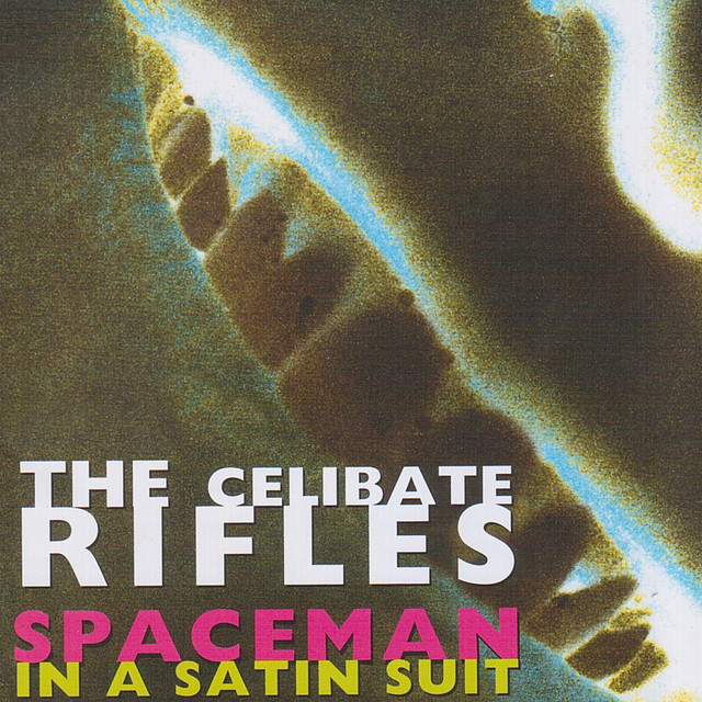 Spaceman in a Satin Suit album cover