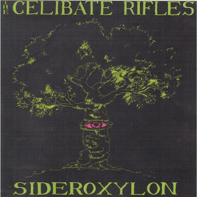 Sideroxylon album cover