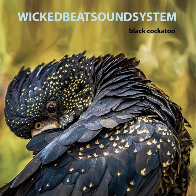 Black Cockatoo album cover
