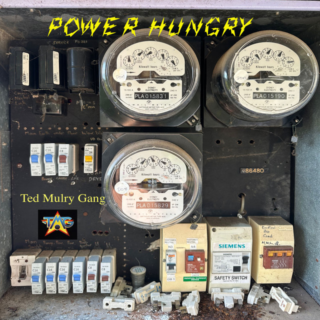 Power Hungry album cover