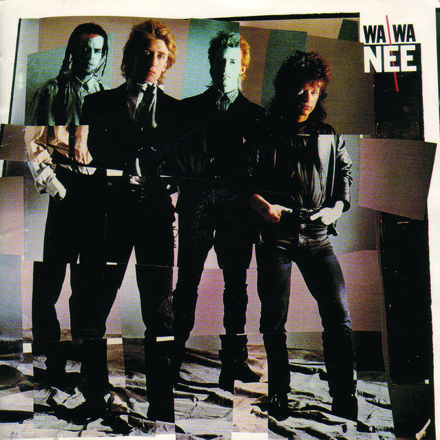 Wa Wa Nee album cover