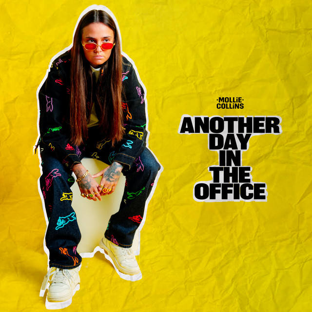 ANOTHER DAY IN THE OFFICE album cover