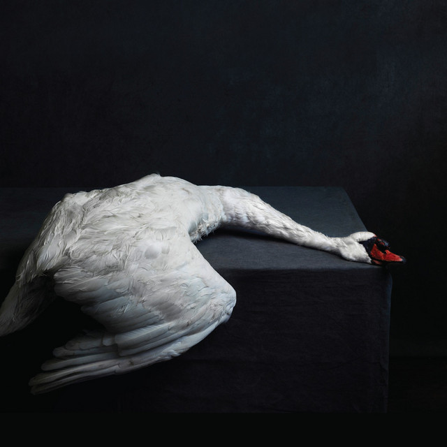 Mass VI (EU version) album cover