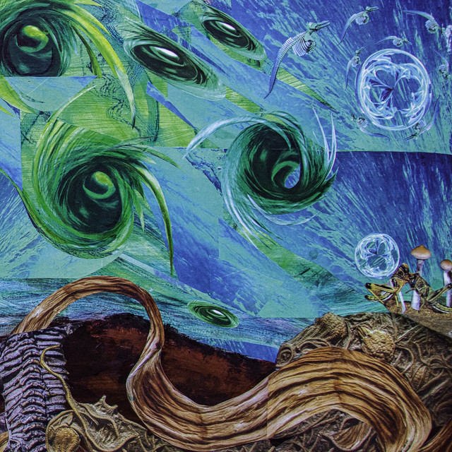 Fluid Existential Inversions album cover
