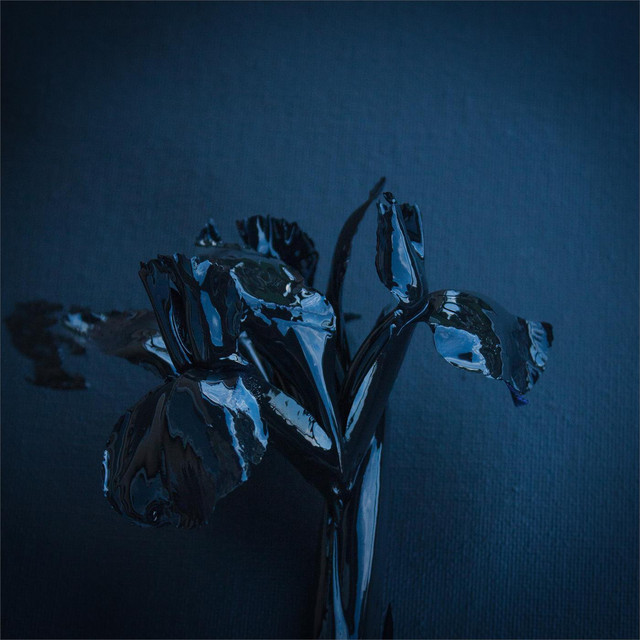 The Rifts album cover