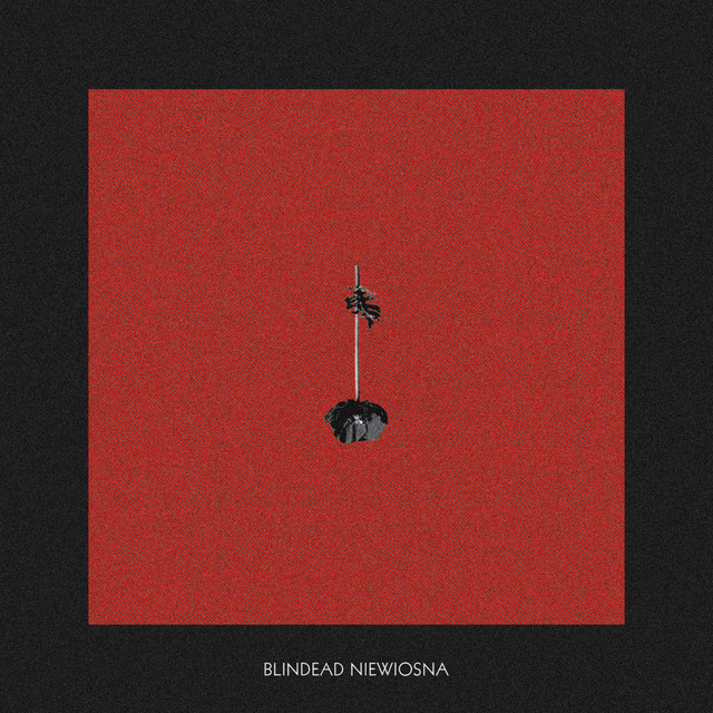 Niewiosna album cover
