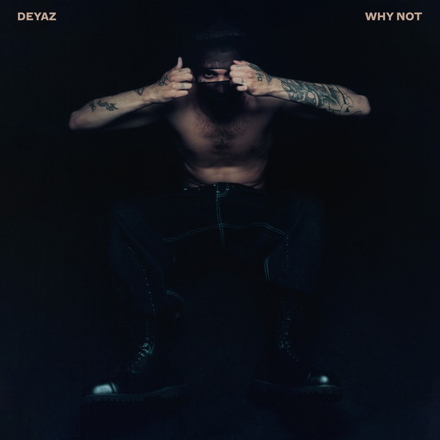 WHY NOT album cover
