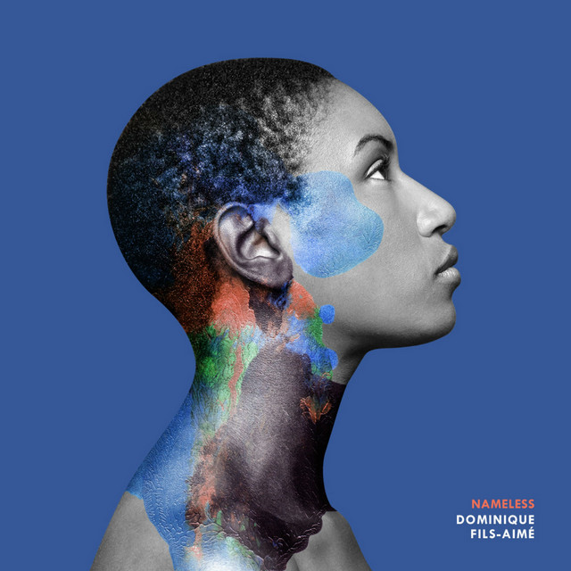 Nameless album cover