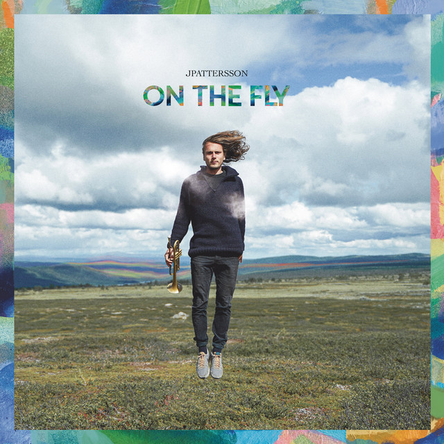 On The Fly album cover