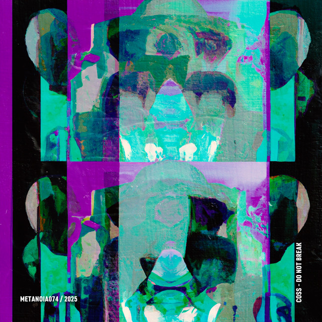 Do Not Break album cover