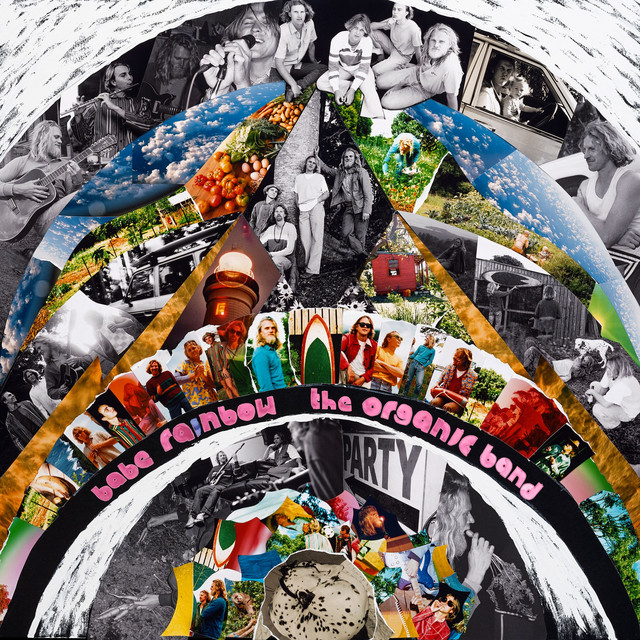The Organic Band album cover