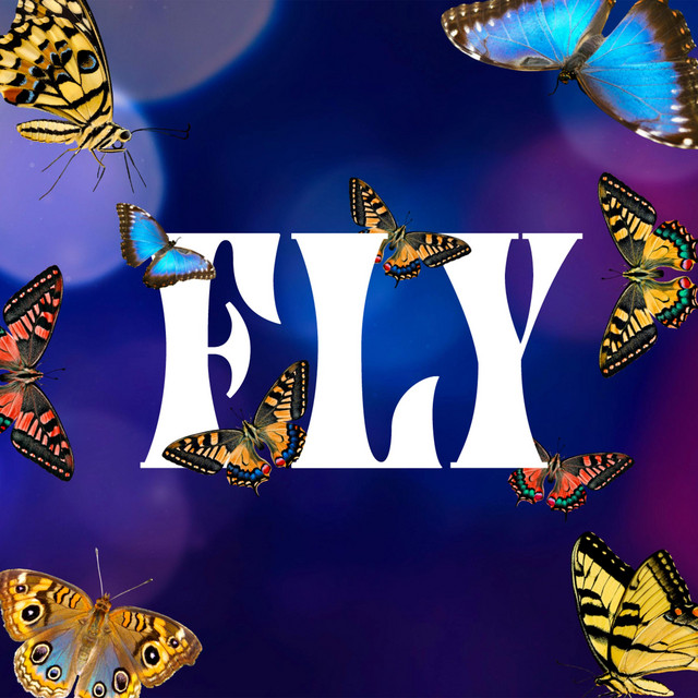 Fly album cover