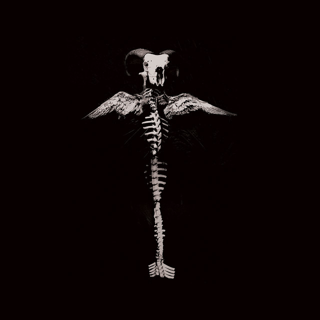 Howl and Filth album cover