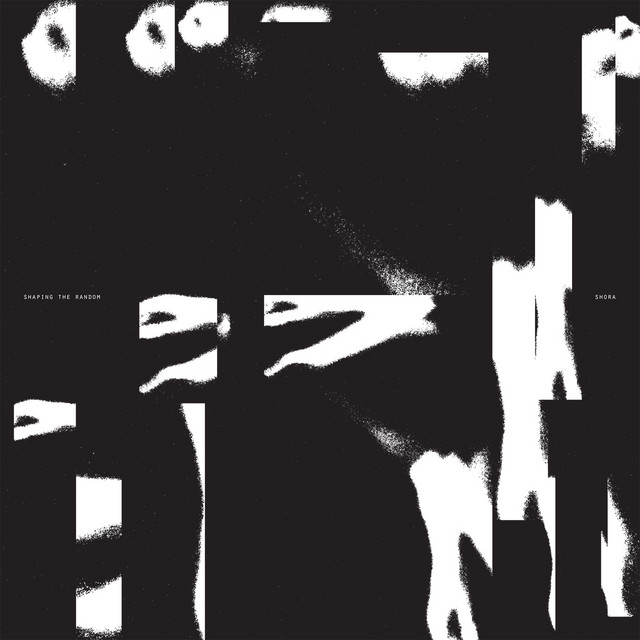 Shaping the Random album cover