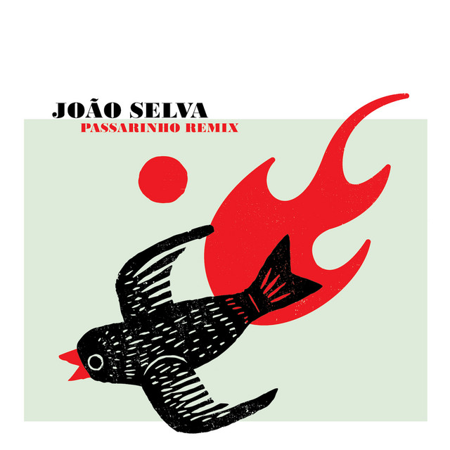 Passarinho Remix album cover