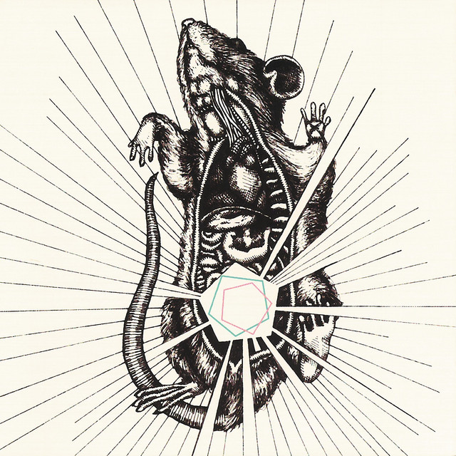 River, Bear Your Bones album cover