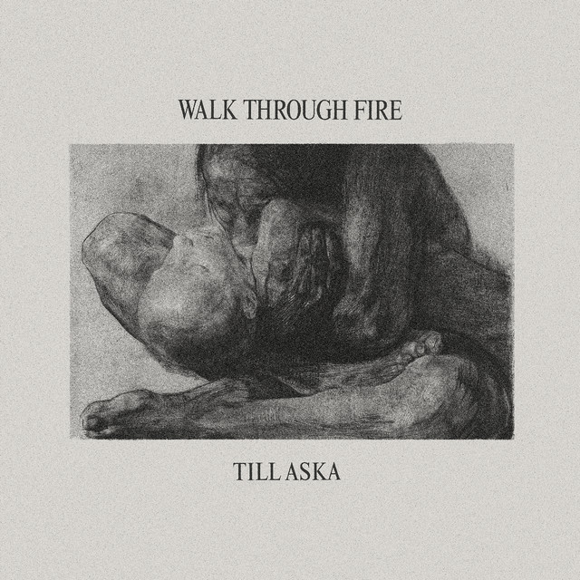 Till Aska album cover
