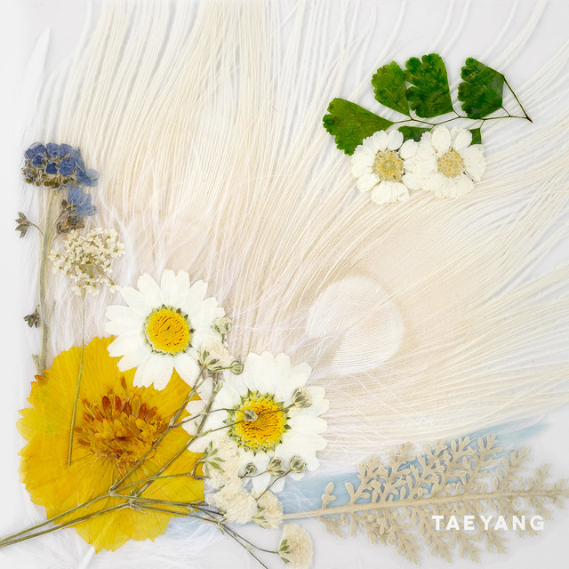 WHITE NIGHT album cover
