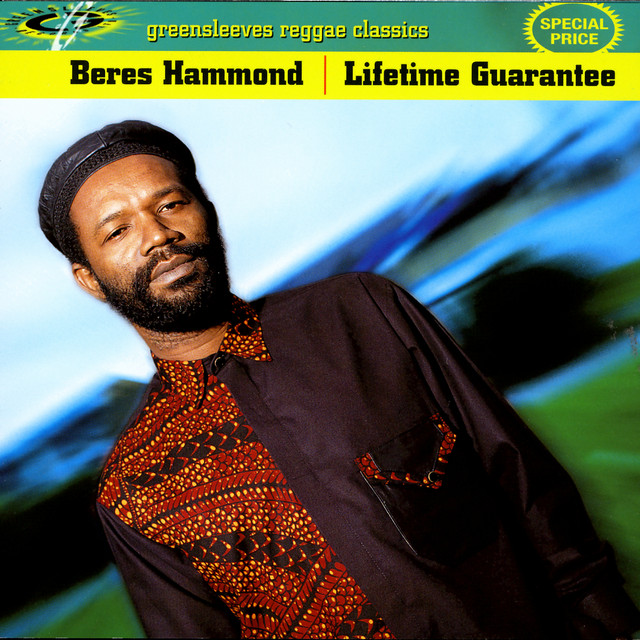 Lifetime Guarantee album cover