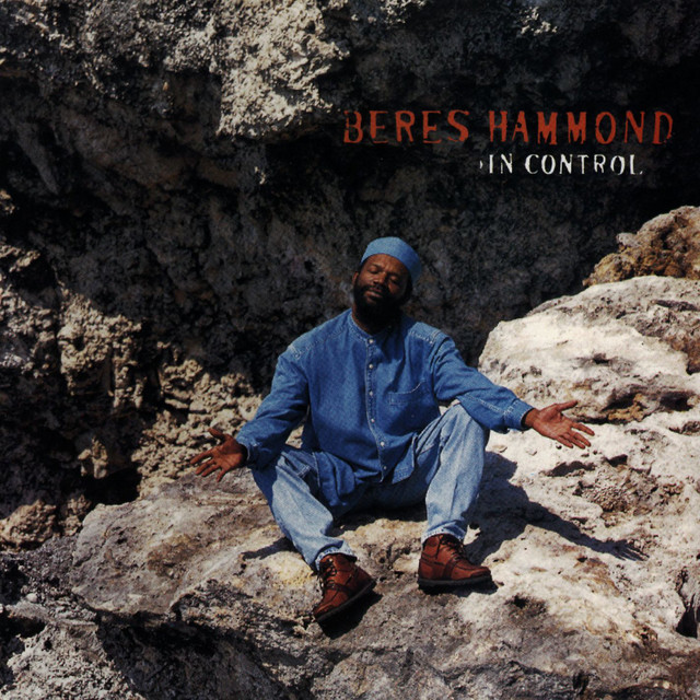 In Control album cover