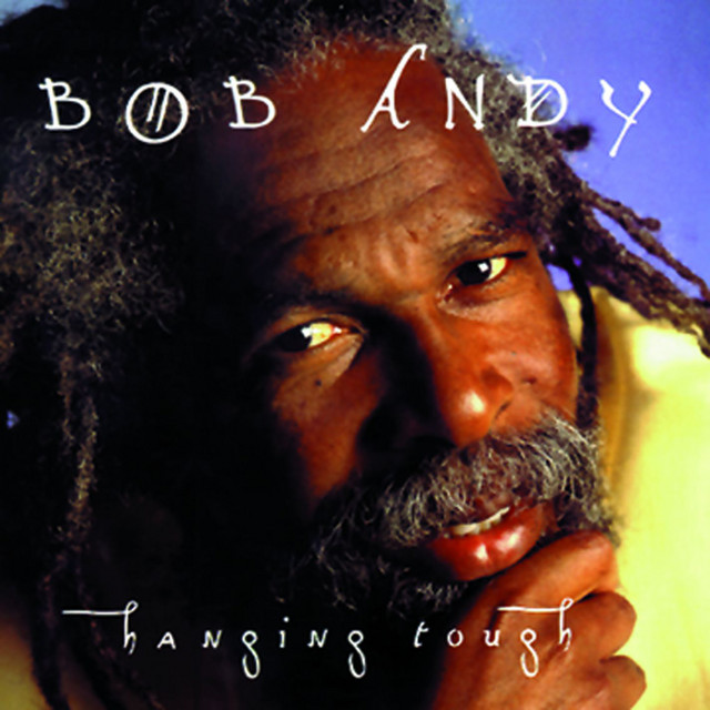 Hanging Tough album cover