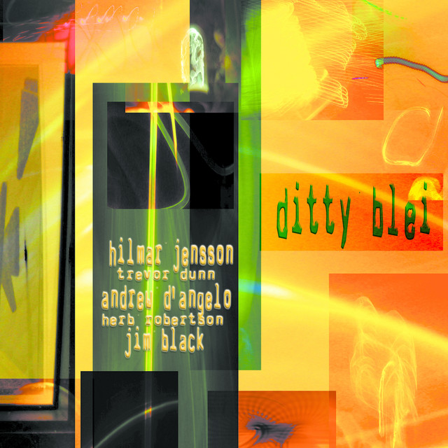 Ditty Blei album cover