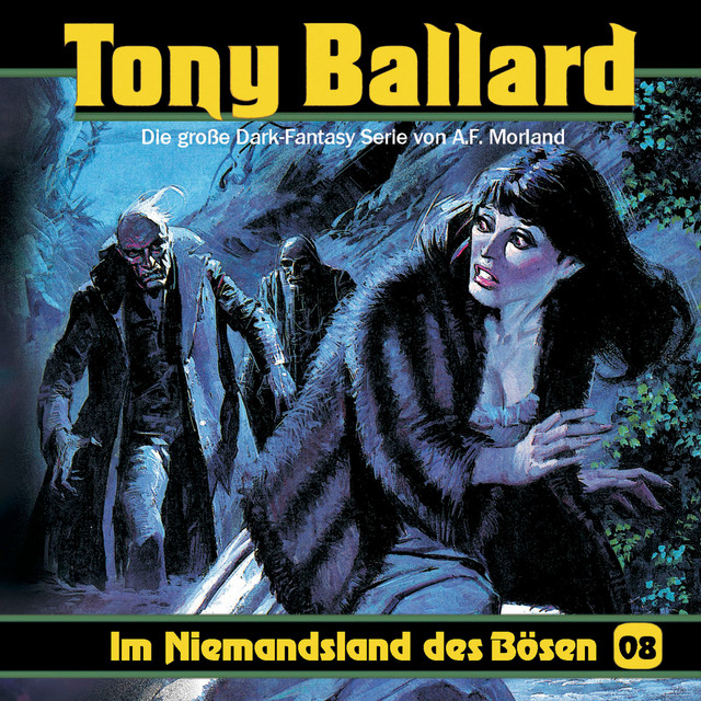 Folge 8: Im Niemandsland des Bösen album cover