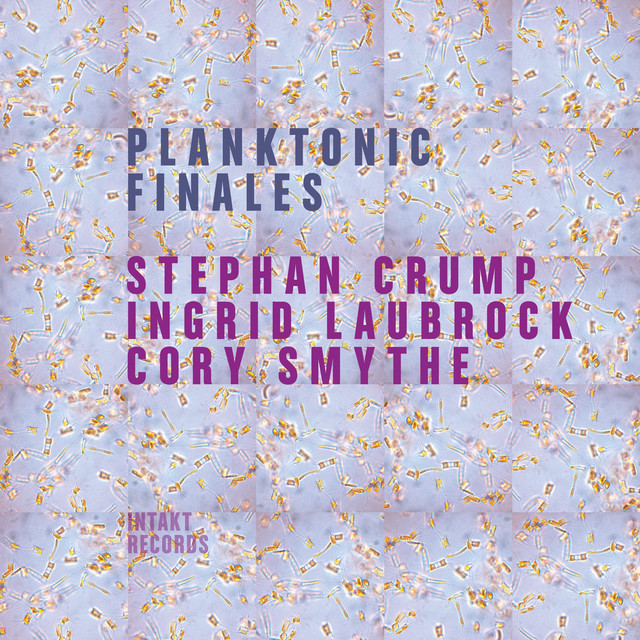 Planktonic Finales album cover