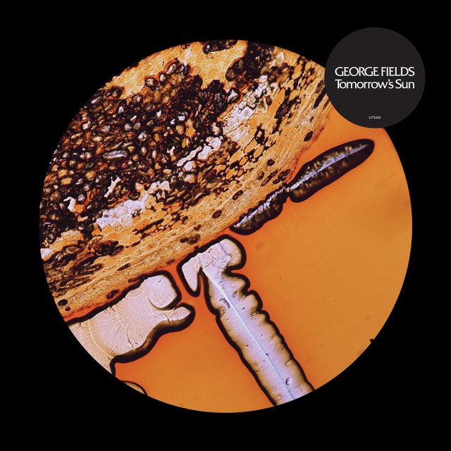 Tomorrow's Sun album cover