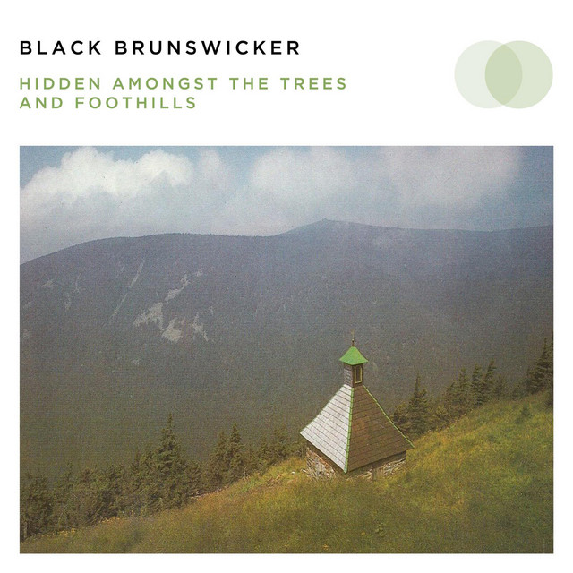 Hidden Amongst the Trees and Foothills album cover