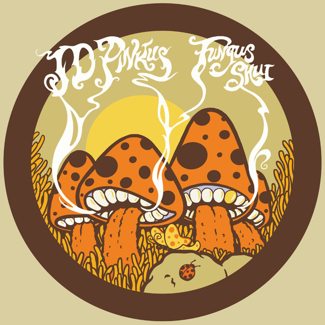Fungus Shui album cover