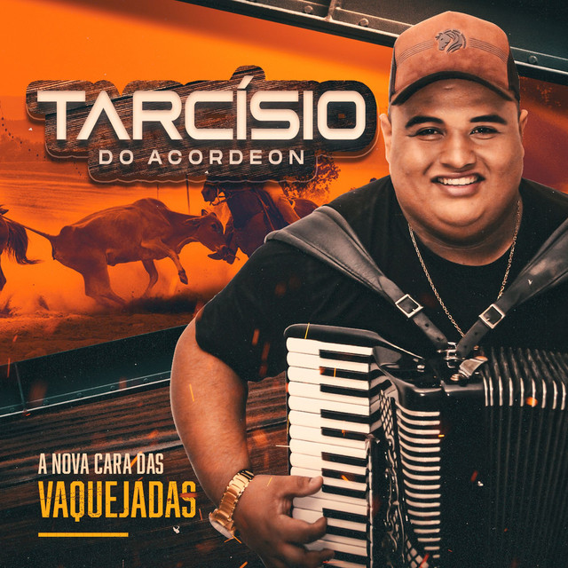 A Nova Cara das Vaquejadas album cover