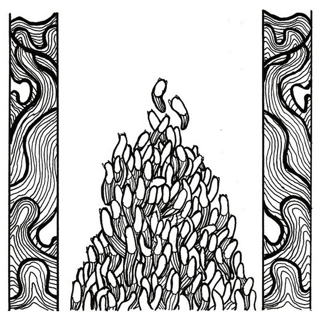 We Are Going to Track Down and Kill Vintage Claytahh, the Beard Burning Bastard album cover