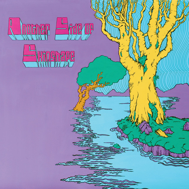 Another Side Of Skinshape album cover