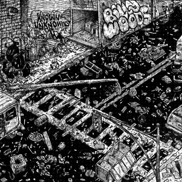 Known Unknowns album cover