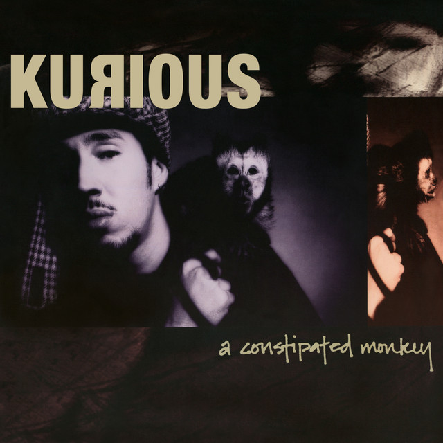 A Constipated Monkey album cover