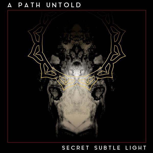 Secret Subtle Light album cover