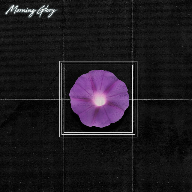 Morning Glory album cover