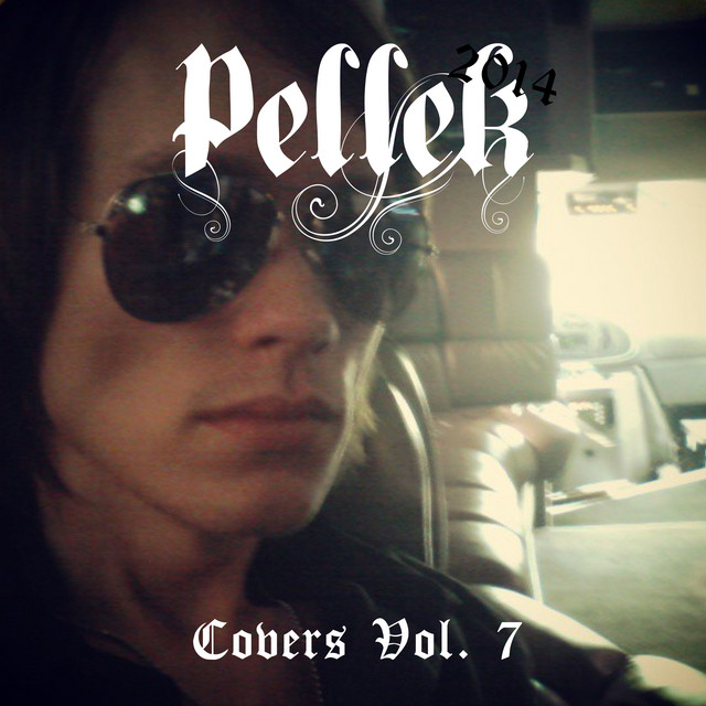 Covers Vol. 7 album cover