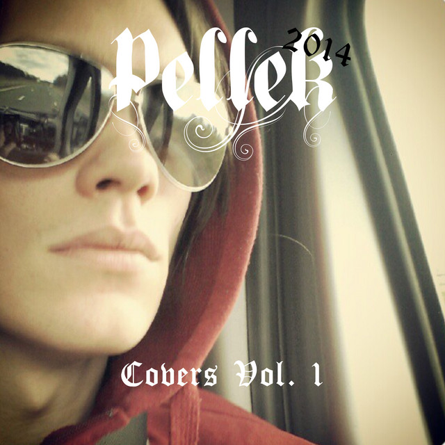 Covers Vol. 1 album cover
