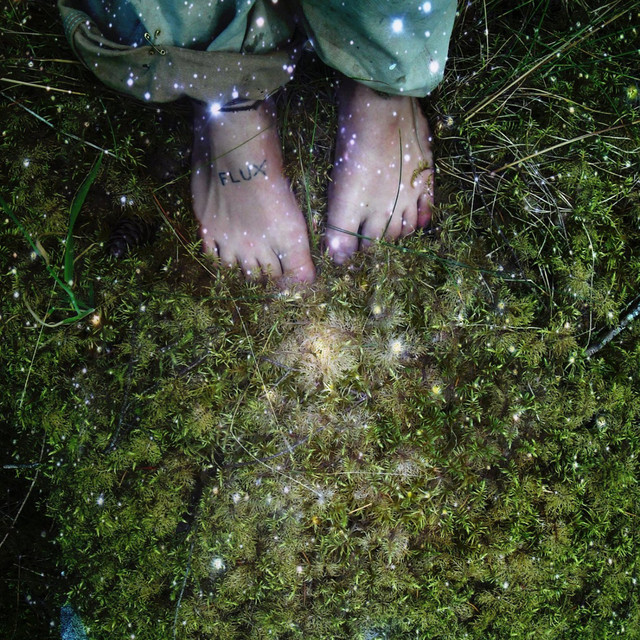 Flux album cover