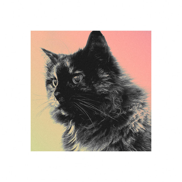 A7 album cover