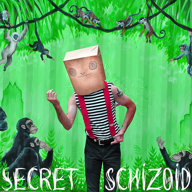 Secret Schizoid album cover