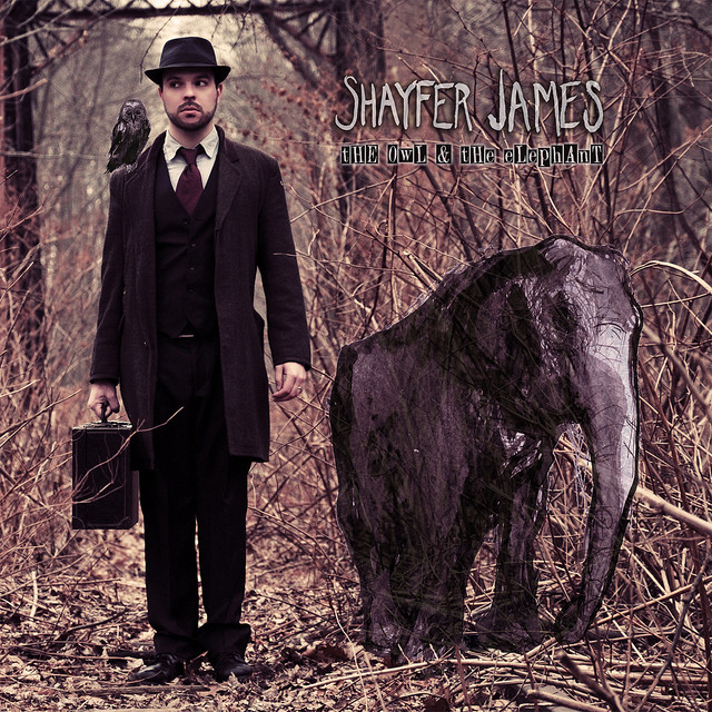 The Owl & The Elephant album cover
