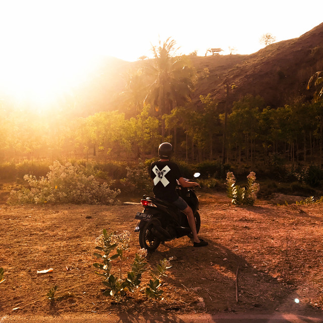 A Collection of Xinobi Dance Songs album cover