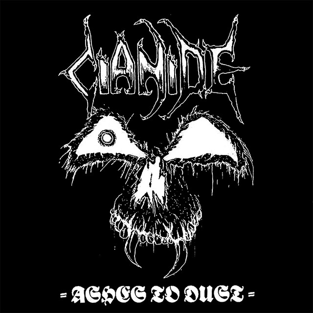 Ashes to Dust album cover