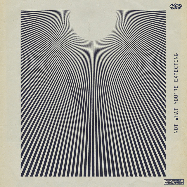 NOT WHAT YOU’RE EXPECTING album cover