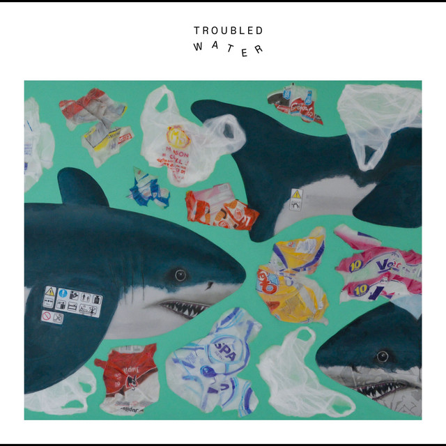 Troubled Water album cover