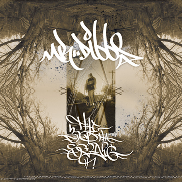 The 30th Song album cover
