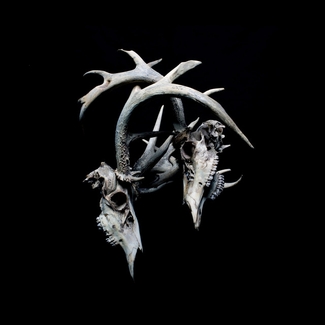 Open Relationships album cover